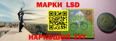 гашик Берёзовский