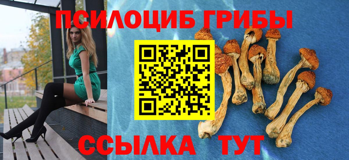 Галлюциногенные грибы прущие грибы Дивногорск